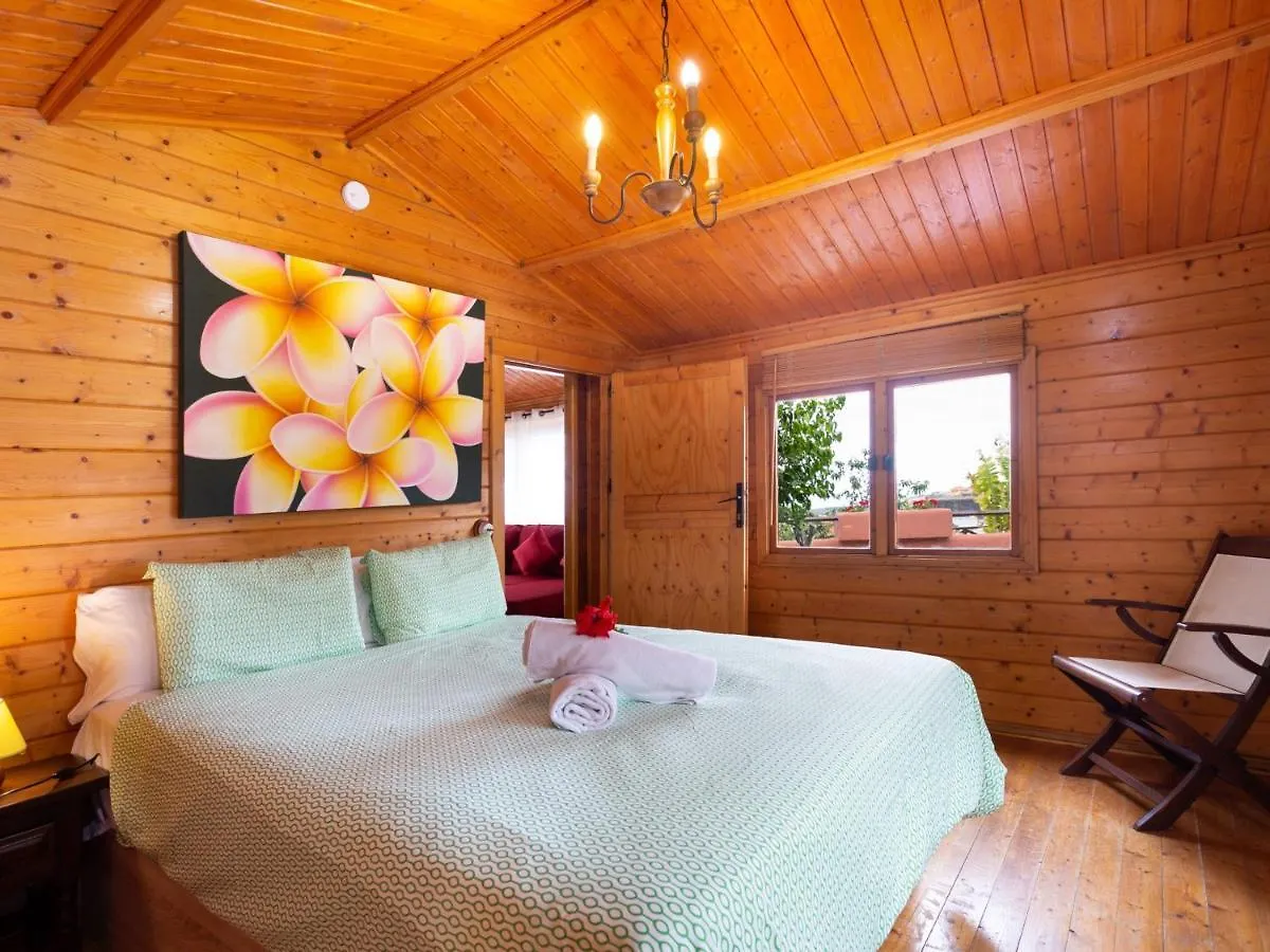 Casa El Aguila The Hedonist - Es-279-1 Villa Icod De Los Vinos Spain